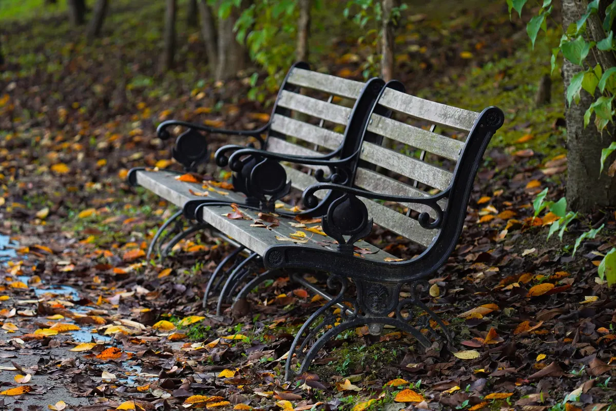 Autumn and Winter Blends: Seasonal Tobacco Picks for Colder Months